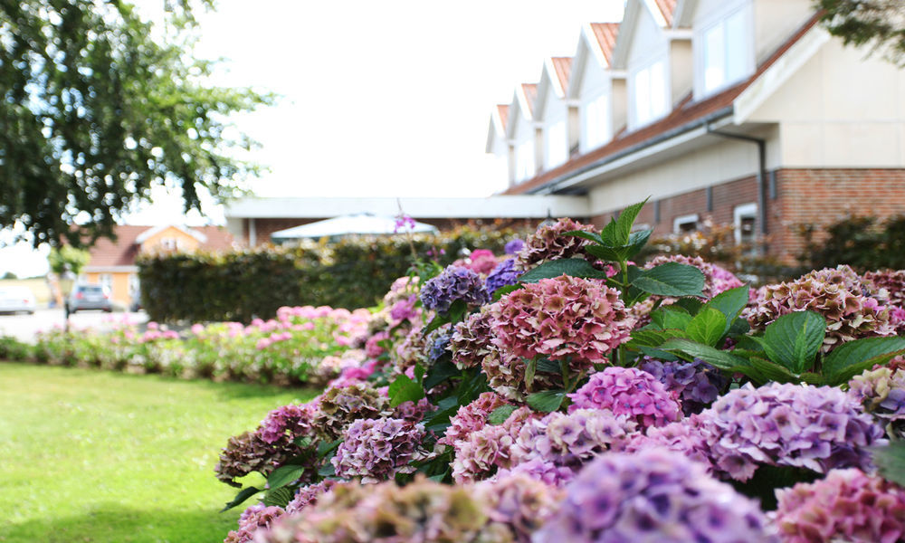 Fangel Kro & Hotel Bellinge Exterior photo